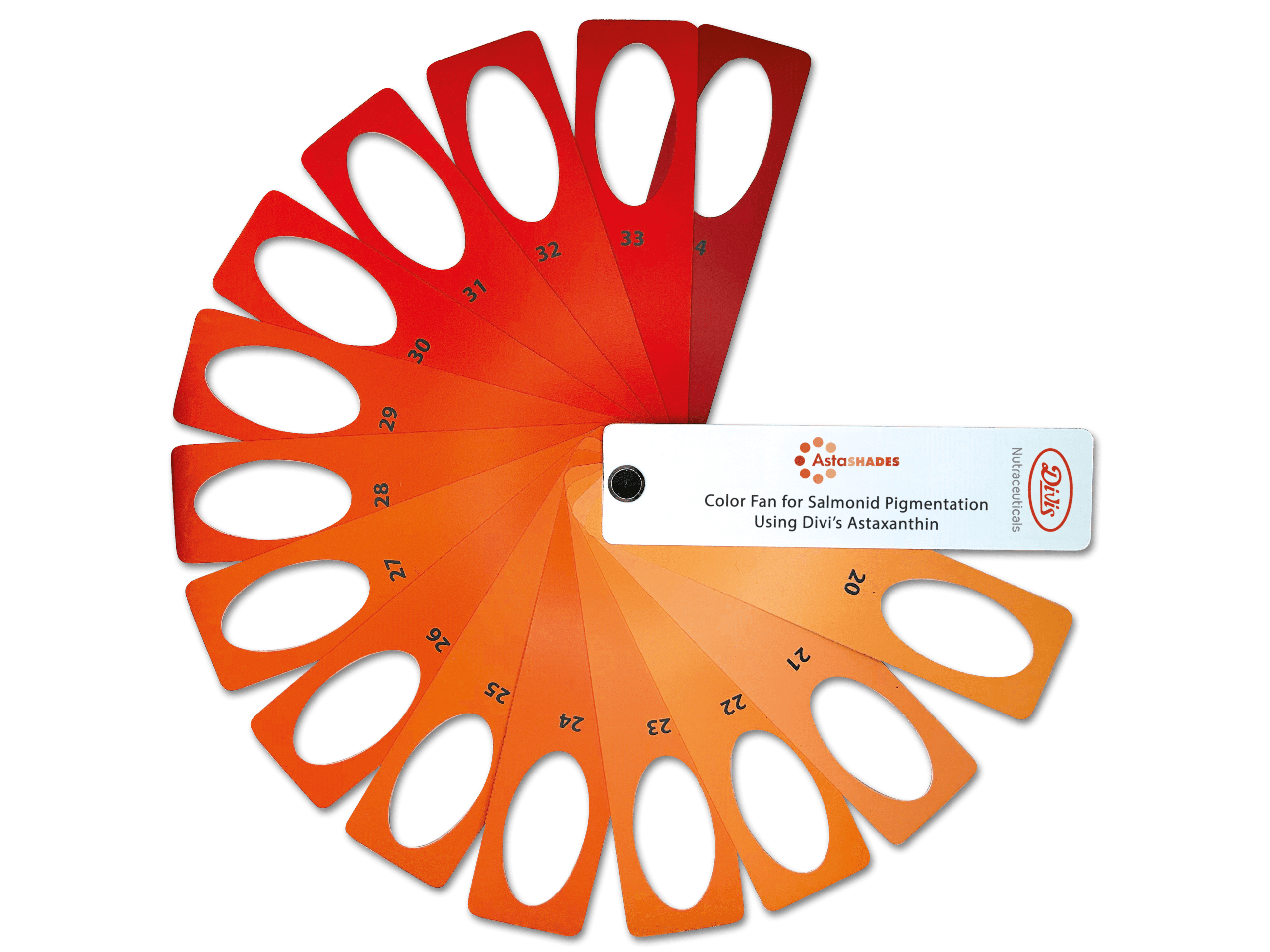 Divis_AstaShades_Color_Fan