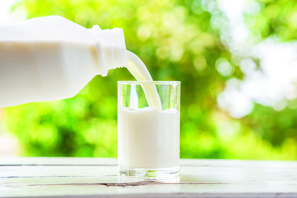 Pouring milk in the glass with green nature background